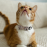 Елегантен и безопасен нашийник за котки CHATOUILLE COLLAR KNOT BEI